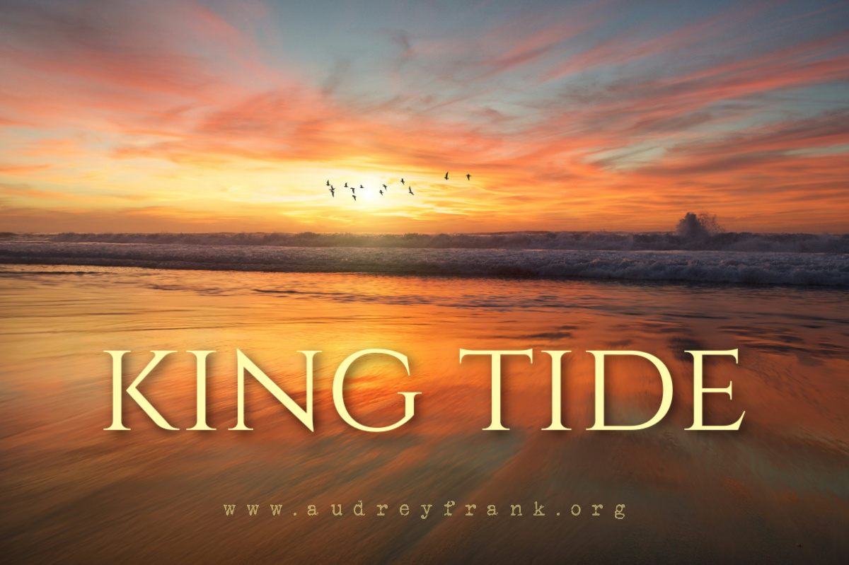 Tide at sunset with the words "King Tide" describing the subject of the post.