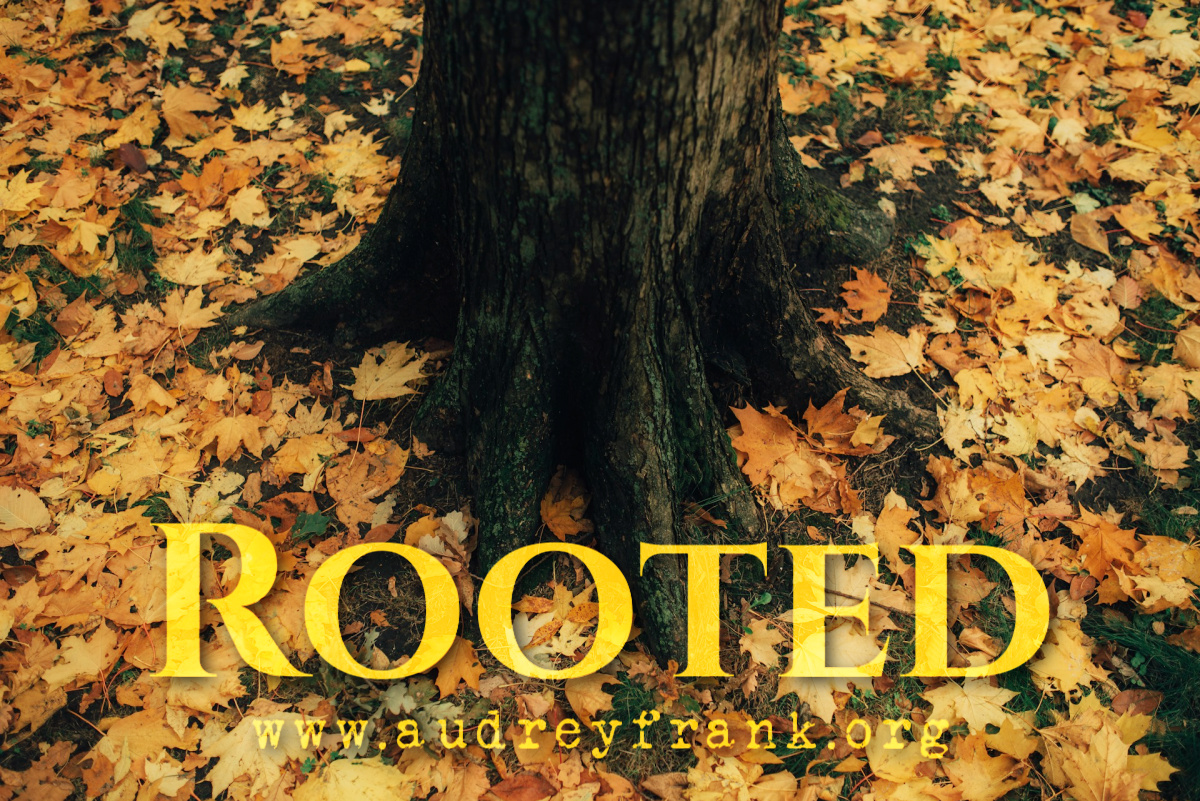 A tree rooted firmly and surrounded by fall leaves with the title Rooted describing the subject of the post.