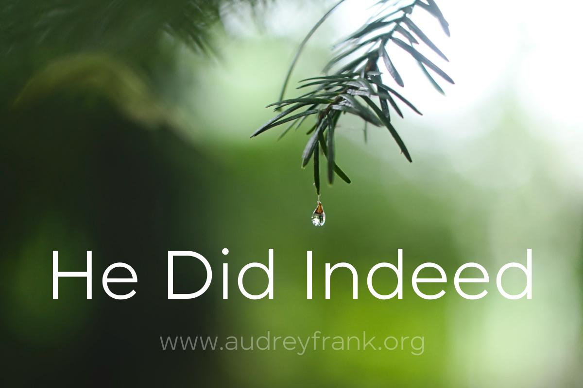 A drop of rain falling from an evergreen with the words, "He Did Indeed", the title of the post.