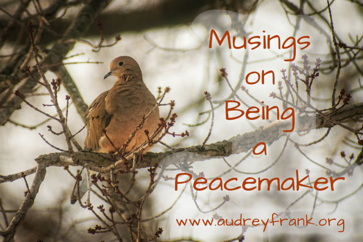 A dove in a tree with the words, "Musings on Being a Peacemaker" describing the subject of the devotional.