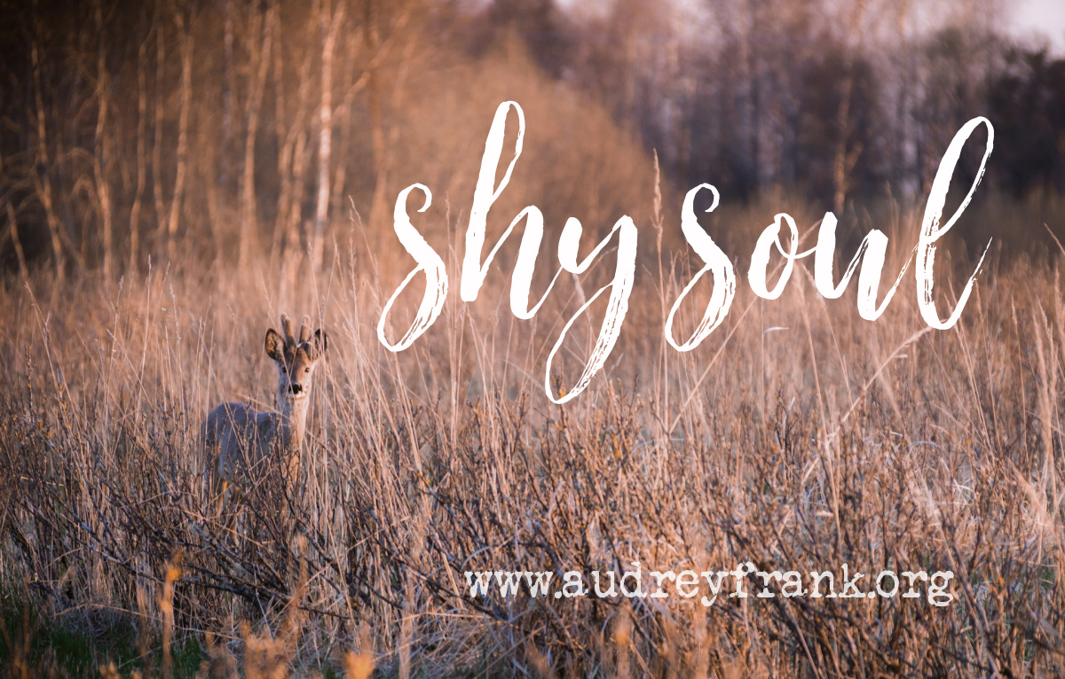 A deer hiding in the brush and the words, "Shy Soul" describing the subject of the post.