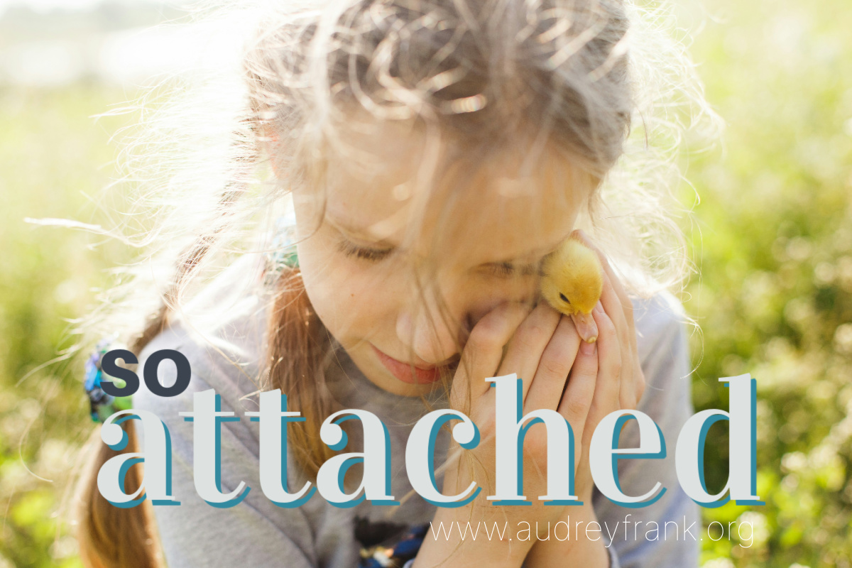 a little girl holding a duckling very close with the words "so attached" describing the subject of the post.